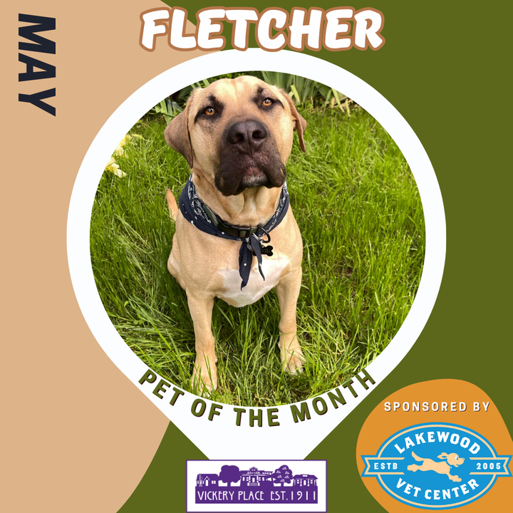 May Pet of the Month - Fletcher