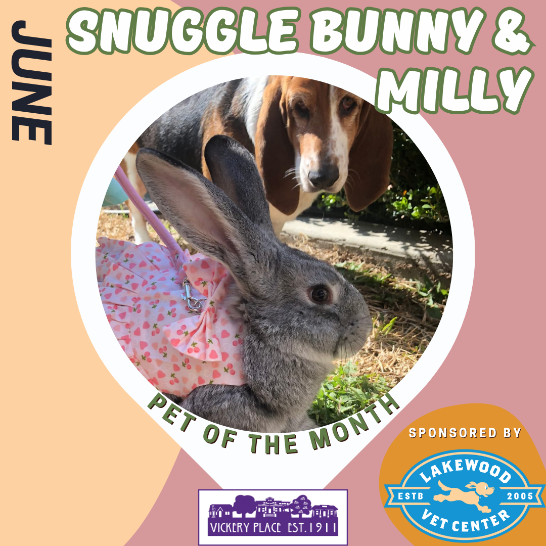 June Pets of the Month - Milly & Snuggle Bunny