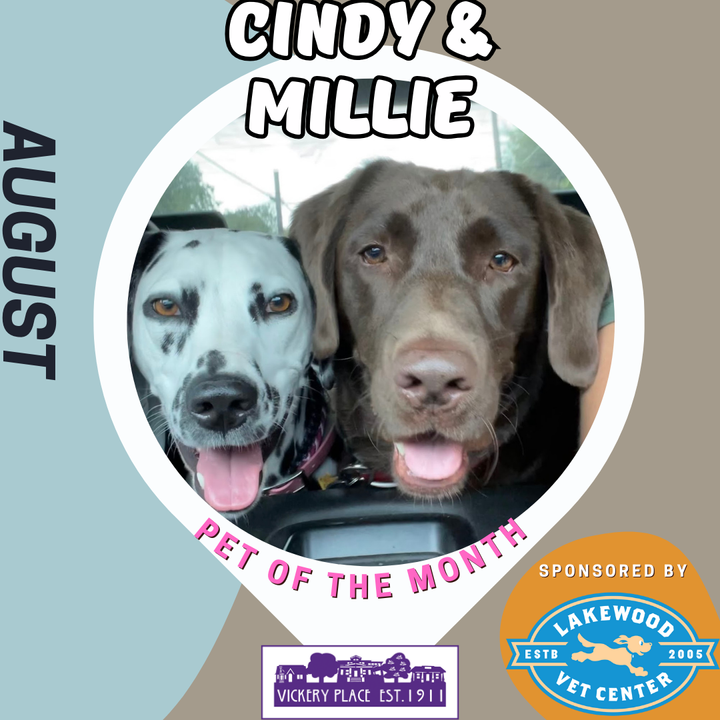 August Pets of the Month - Cindy & Millie